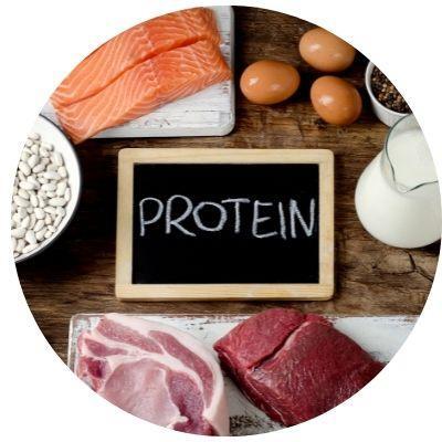 Protein Intake for Athletes