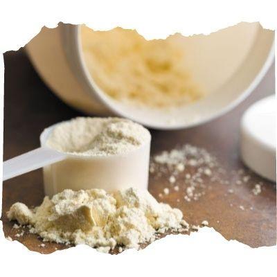 Protein Supplementation and Athletic Performance